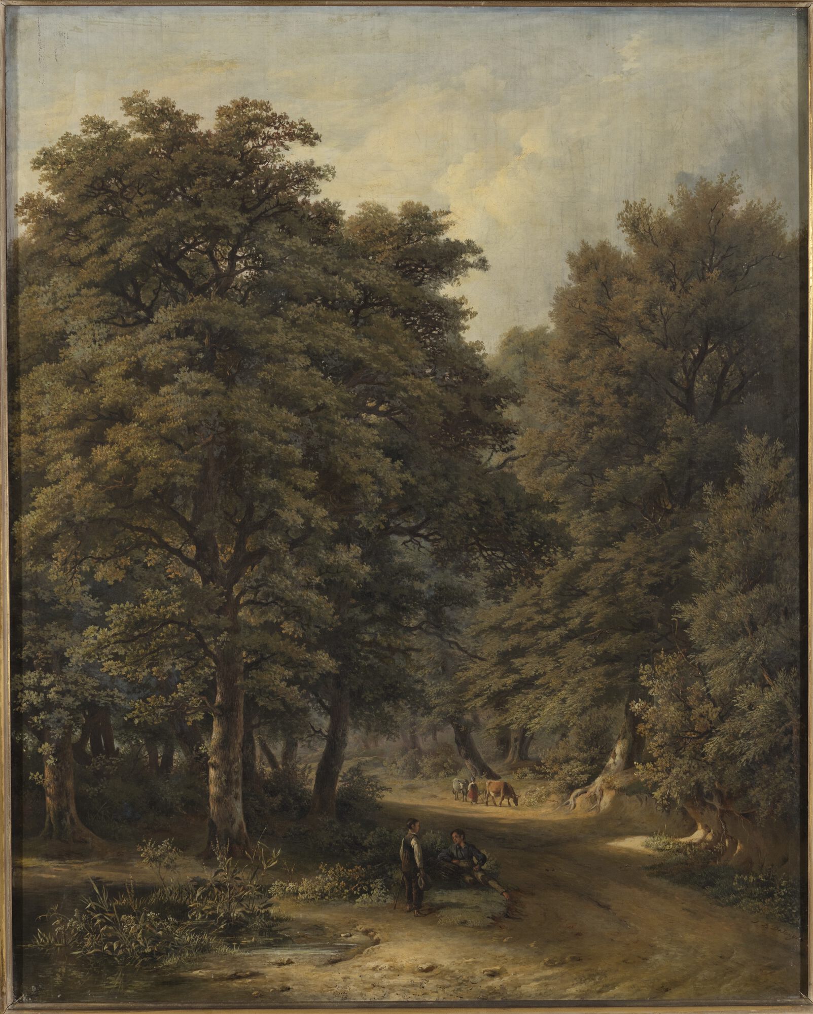 Bosrand in de omgeving van Brussel