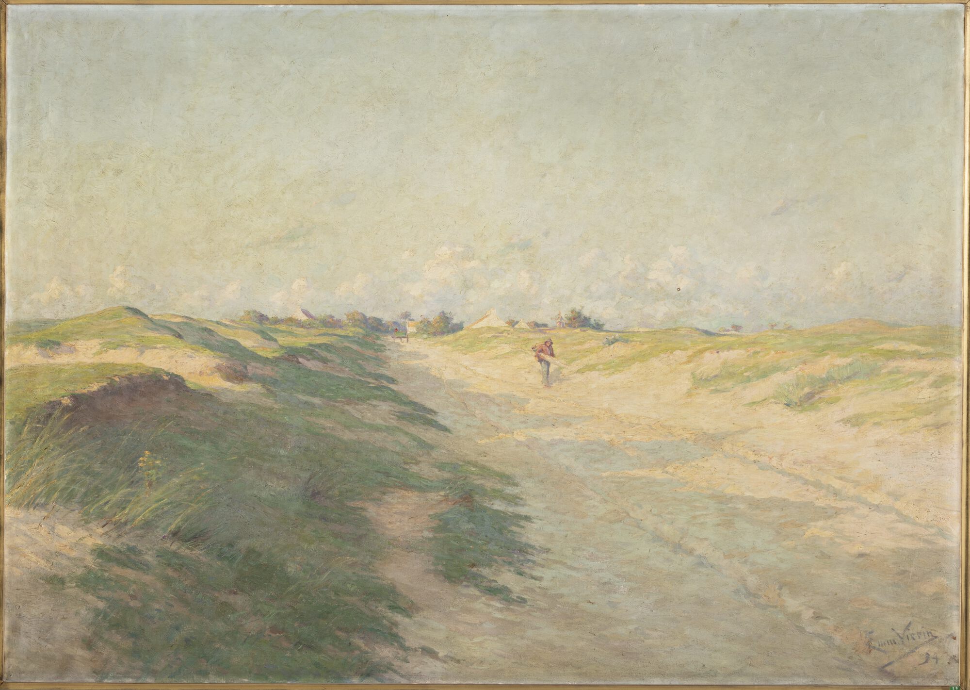 Weg in de duinen