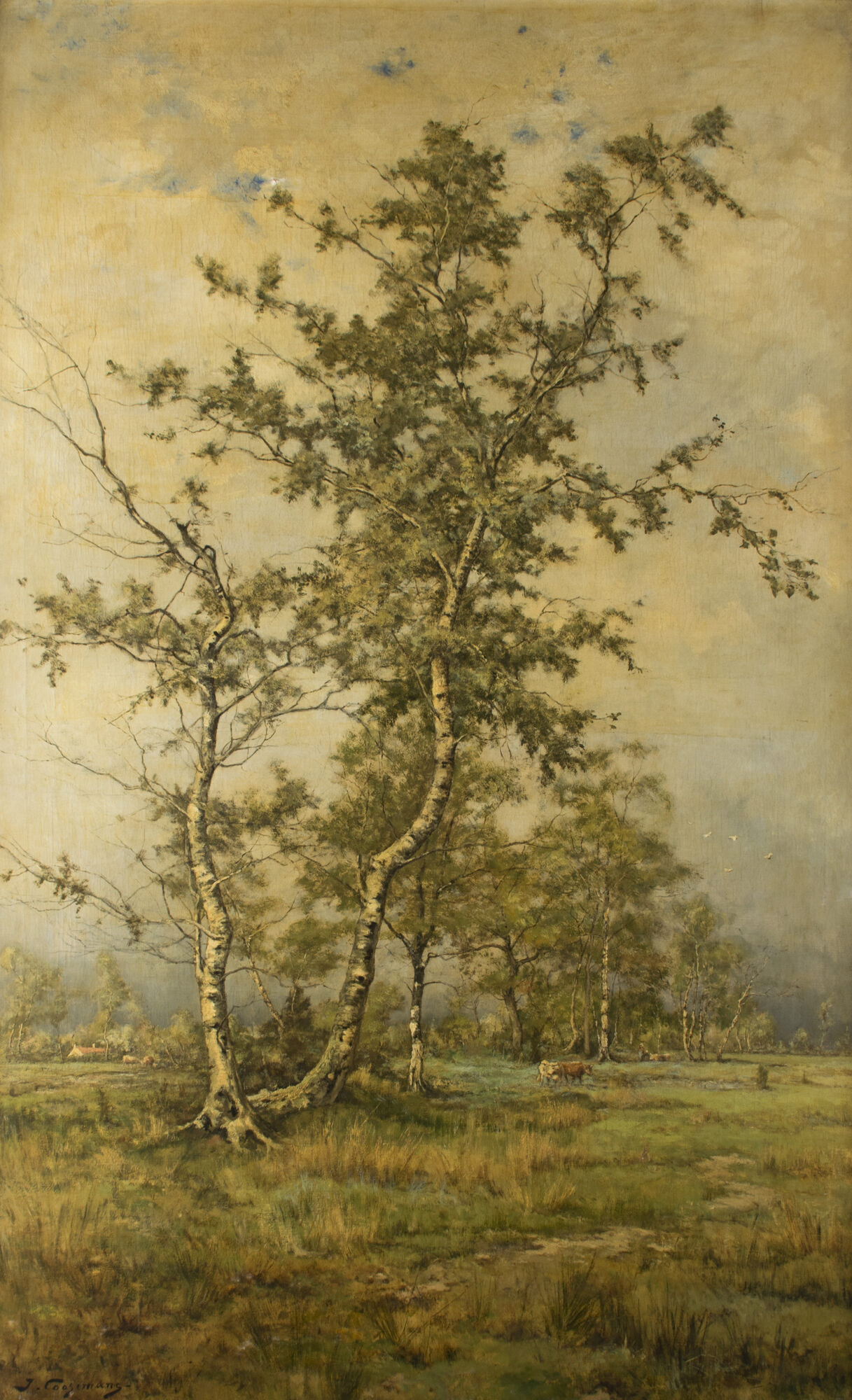 Berken in Genk