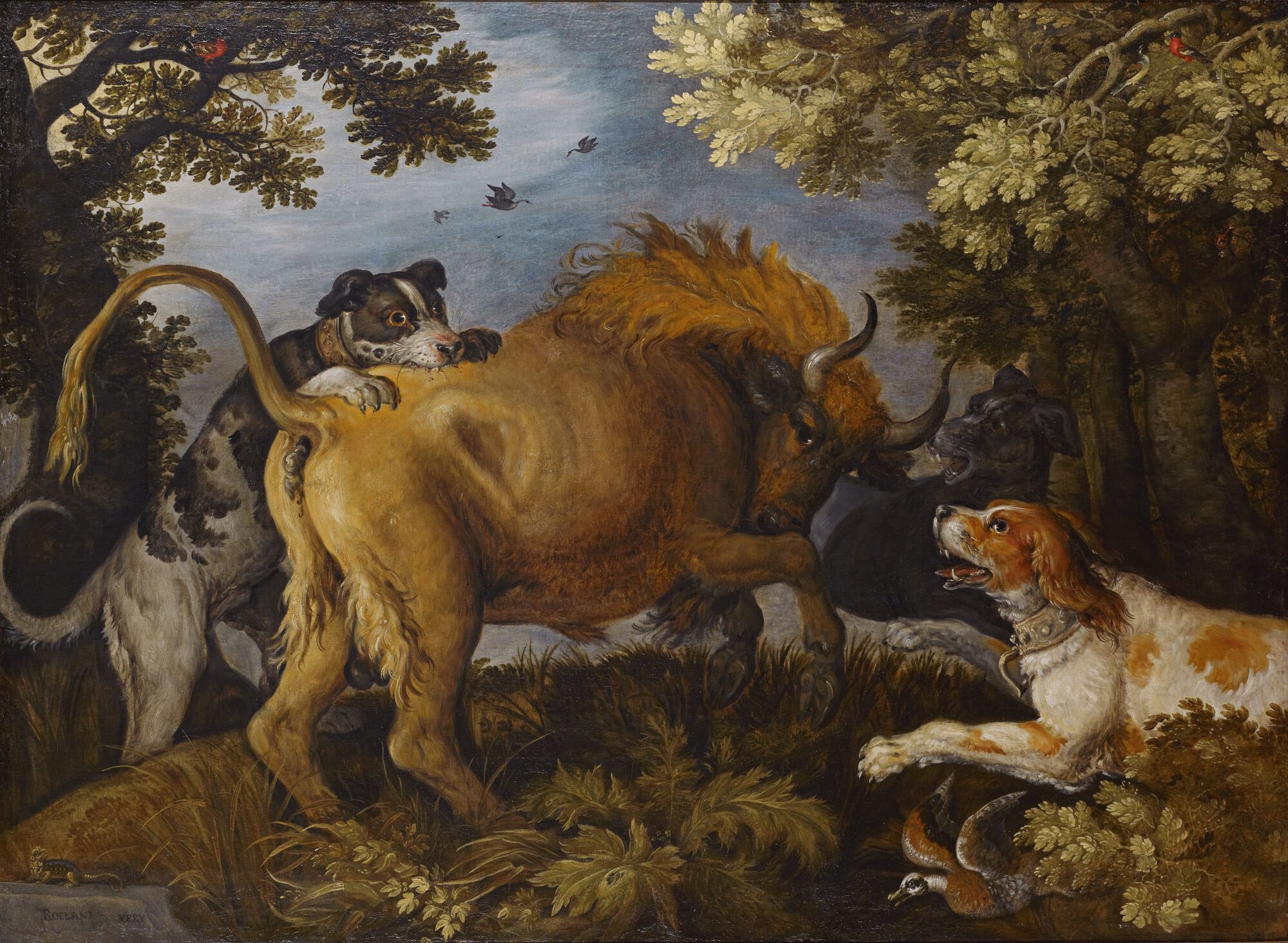 Bizon aangevallen door drie honden, 1626