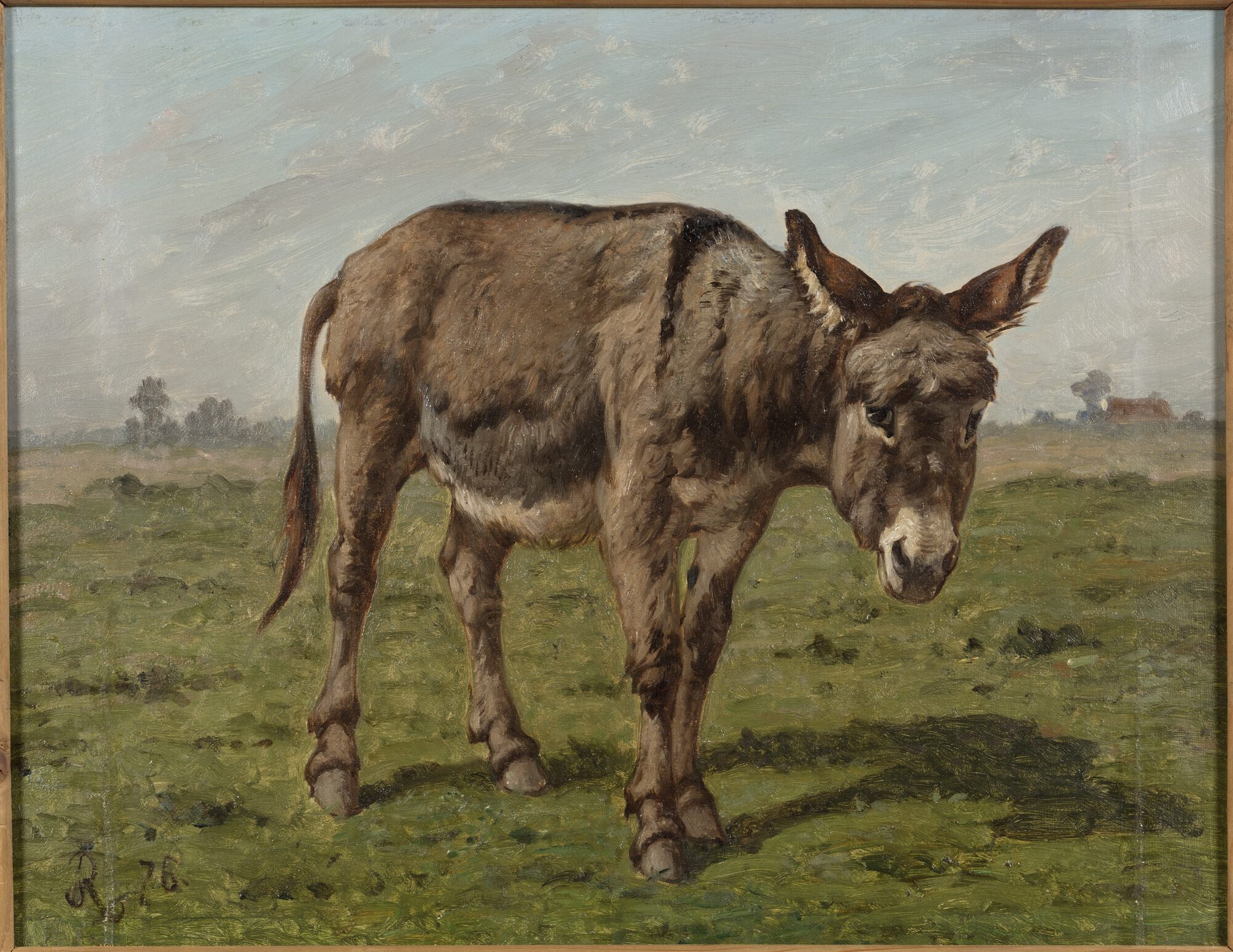 Ezeltje