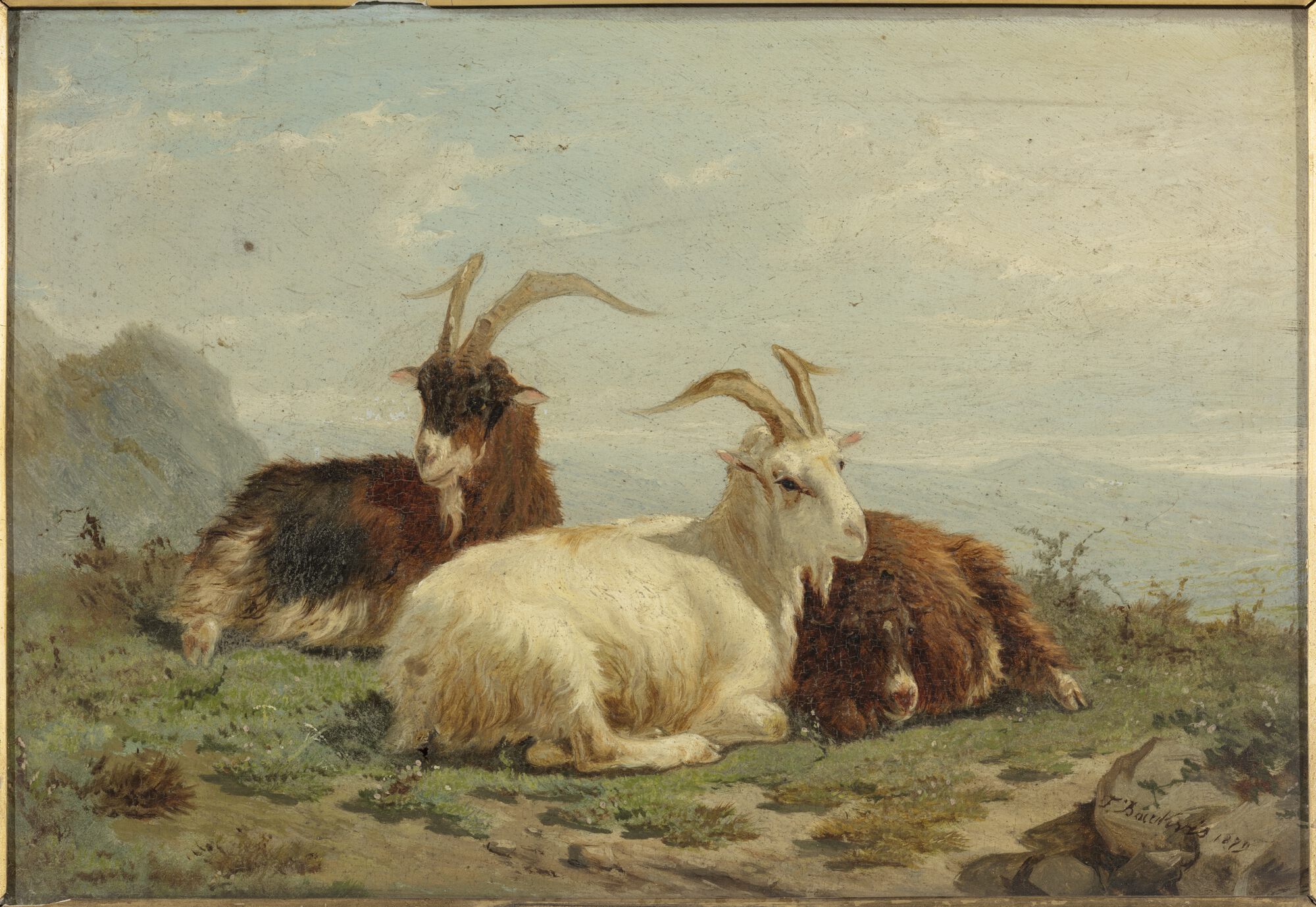 Landschap met geiten, 1879