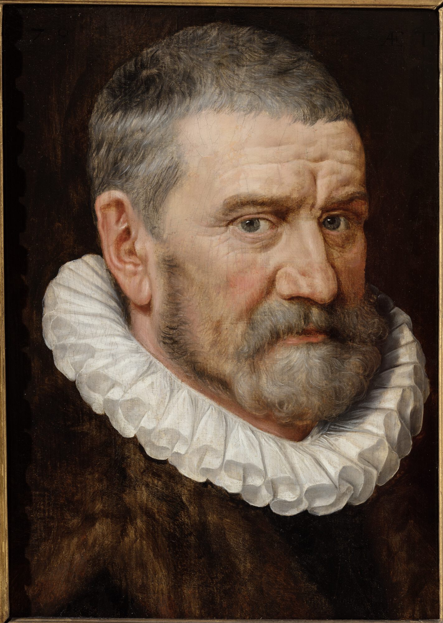 Mansportret, 1578