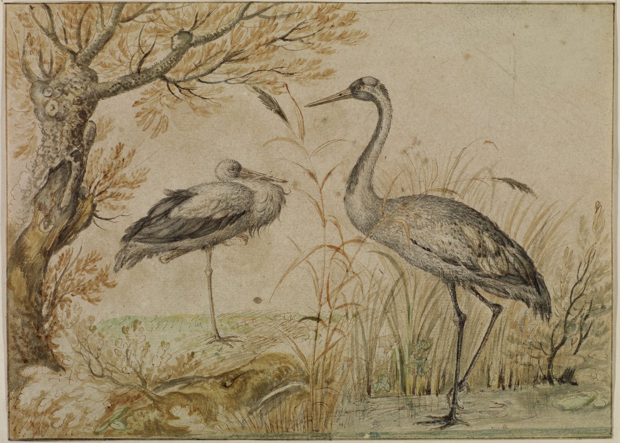 Ooievaar en kraanvogel, 17de eeuw