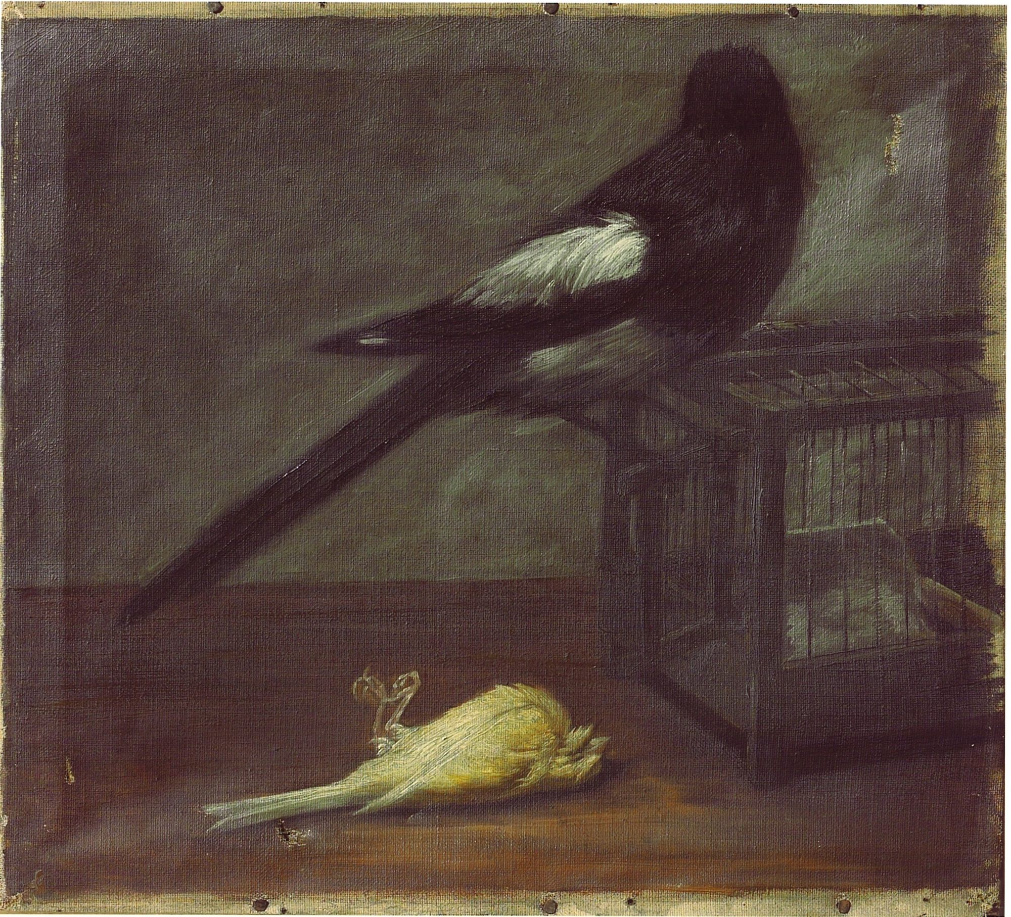 Vogels