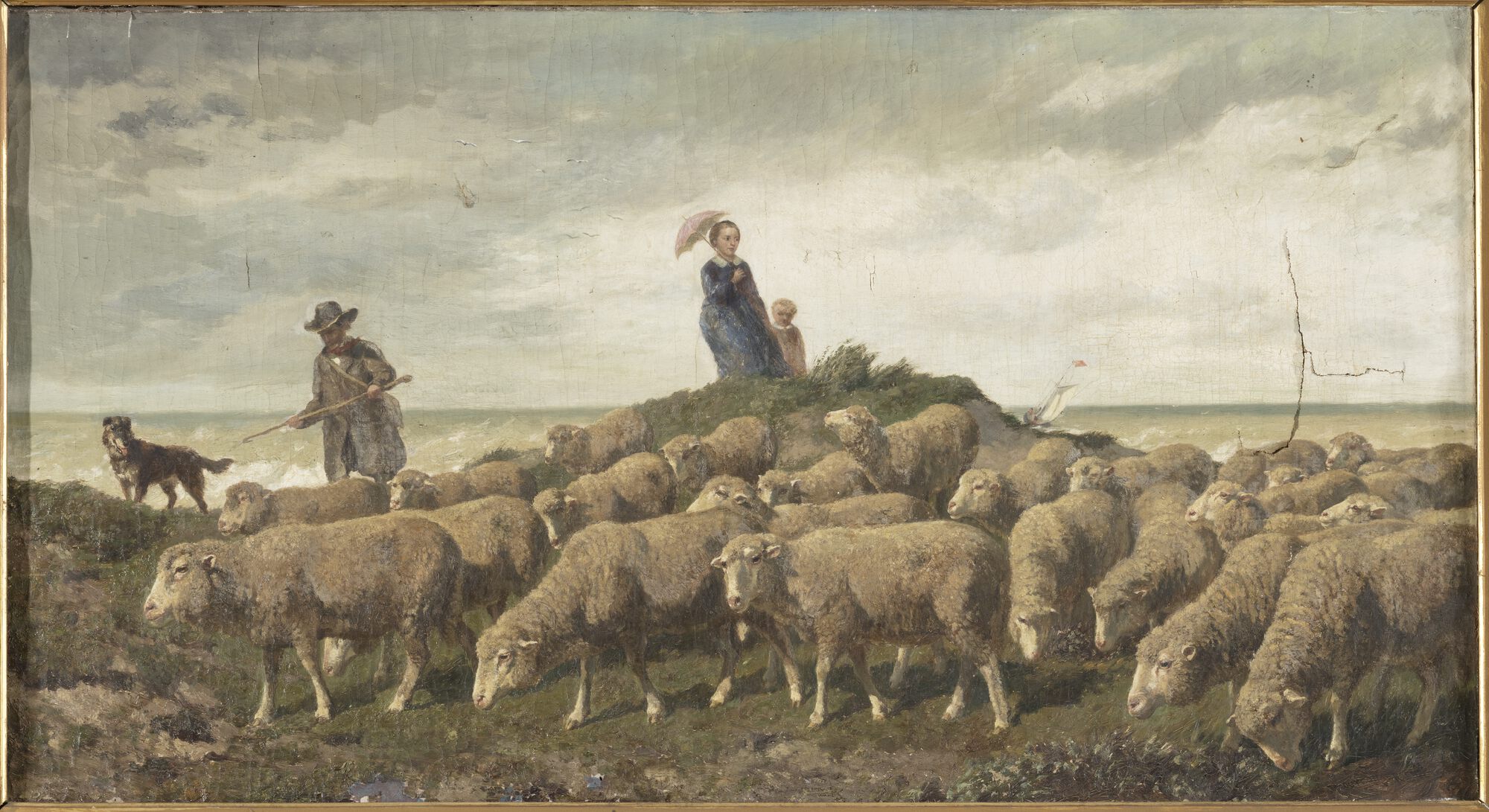 Schapen in de duinen