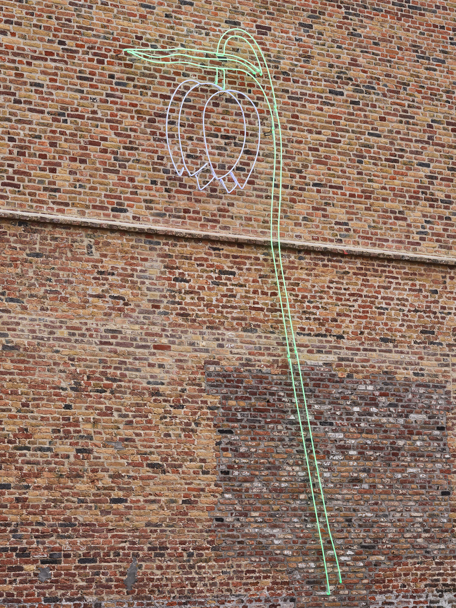 Wilting Flower #5 - Daan Gielis
