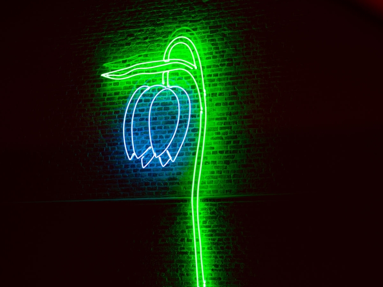 neon lamp bloem Daan Gielis