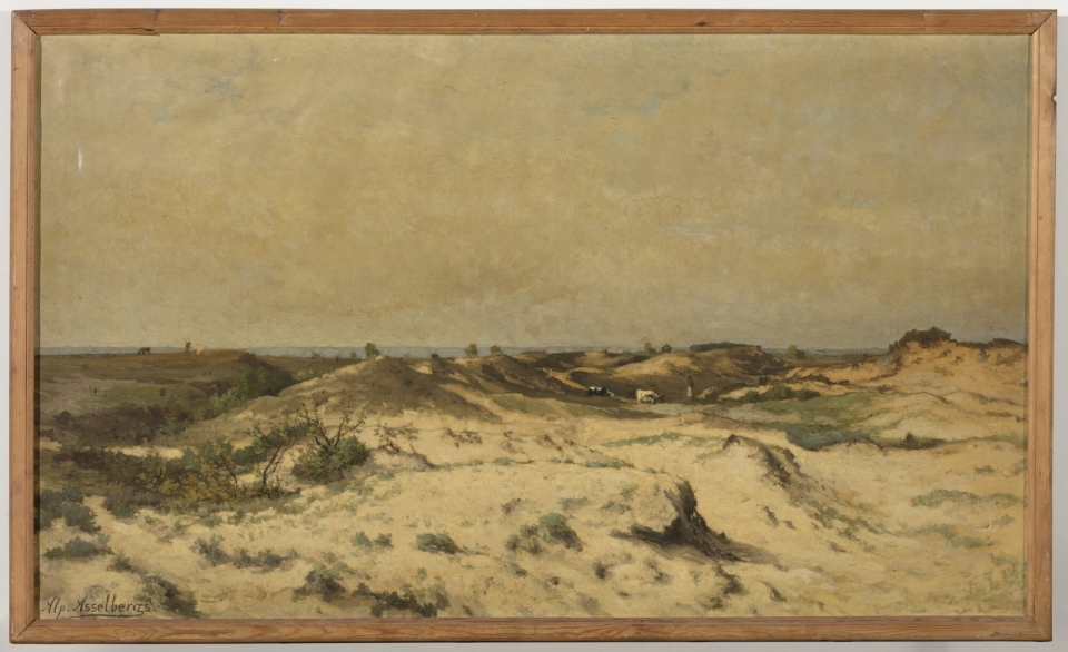 Kempische duinen