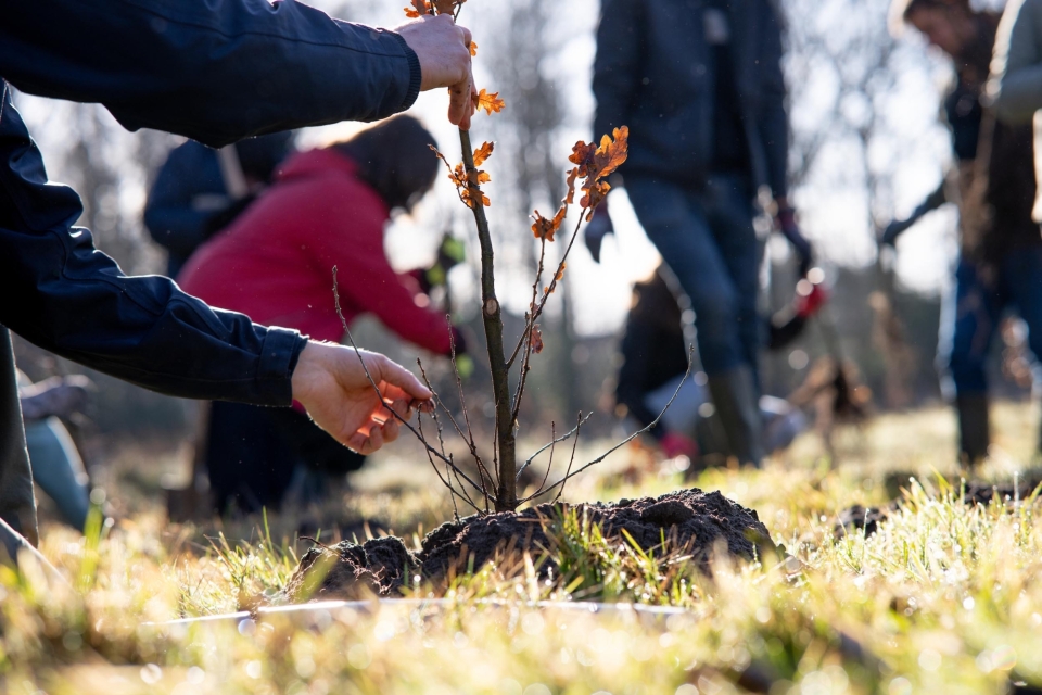Natuurpunt Bos voor iedereen