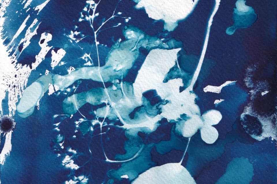 Cyanotype