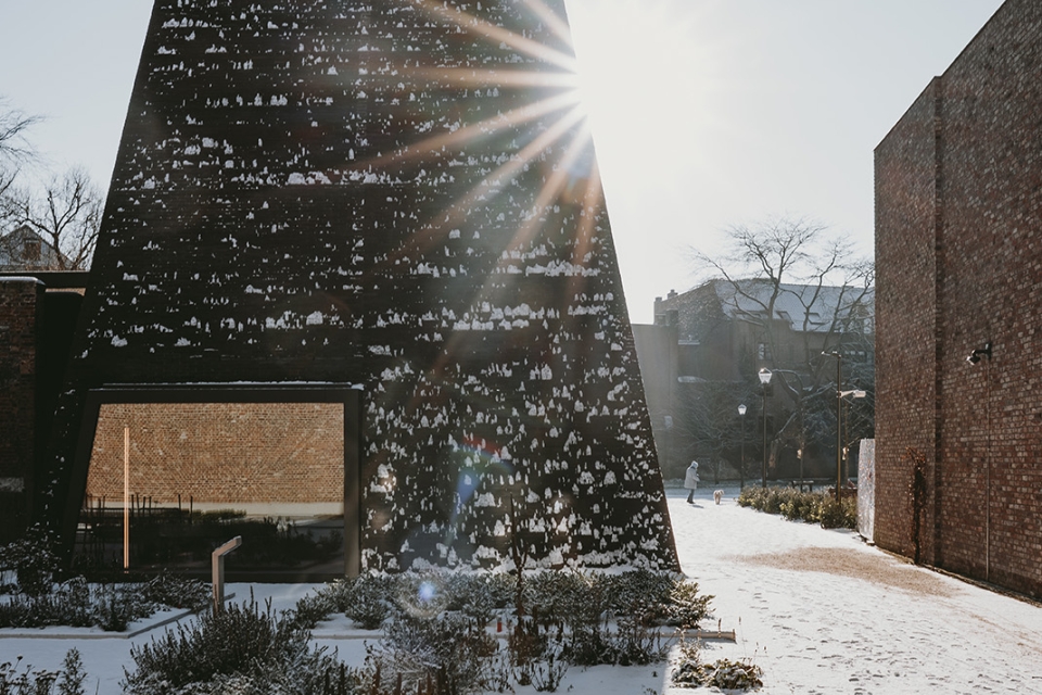 Abby's museumtuin