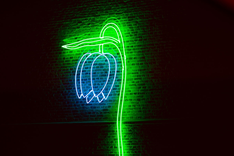 neon lamp bloem Daan Gielis